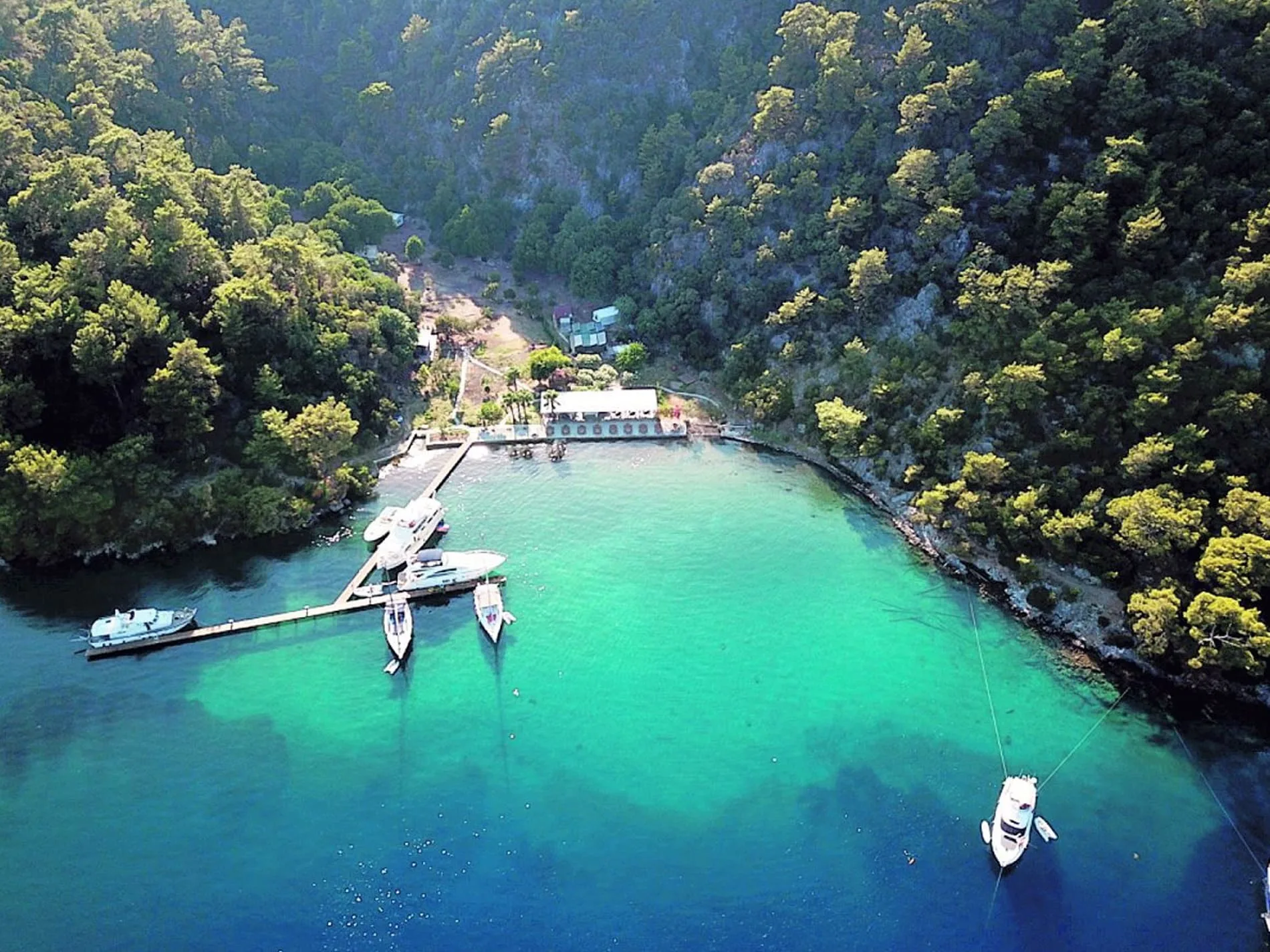 Restaurants to Visit During a Blue Cruise